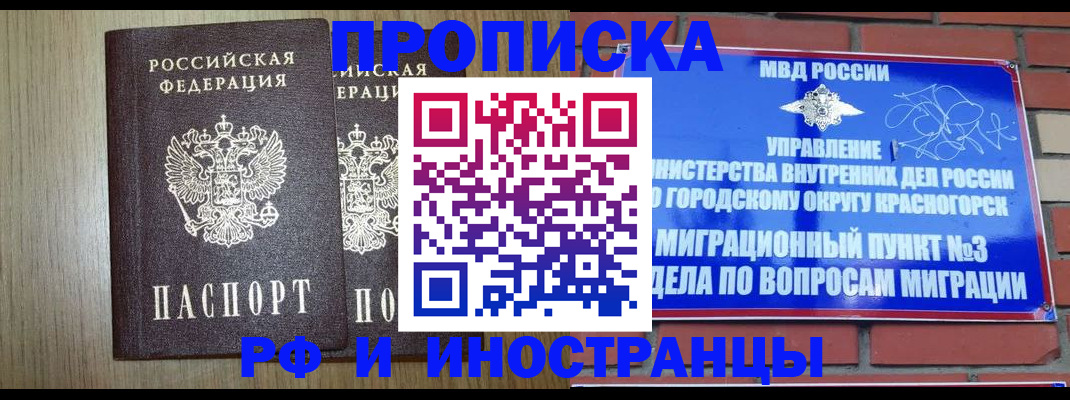 прописка в квартире в Никольском